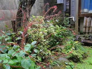 s-DSC07353.jpg