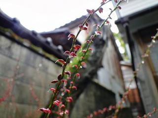 s-DSC07355.jpg