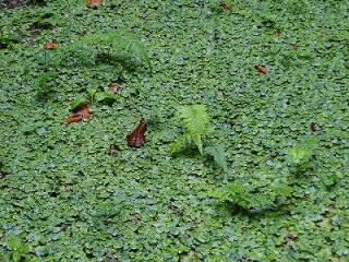 s-DSC07358_20110924003921.jpg