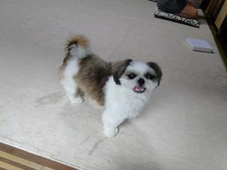 s-DSC07366_20110920215056.jpg