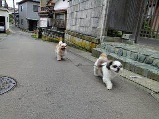 s-DSC07378.jpg