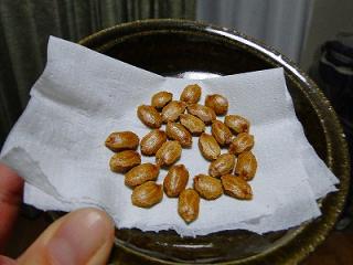 s-DSC07480.jpg