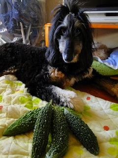 s-DSC07490_20110927213632.jpg