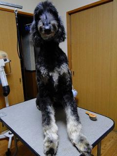 s-DSC07496_20111001004230.jpg