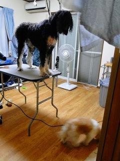 s-DSC07510_20111001013029.jpg