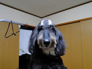 s-DSC07517_20111001013028.jpg