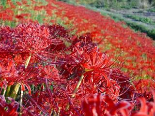 s-DSC07552_20111005005725.jpg
