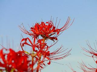 s-DSC07559_20111005005724.jpg