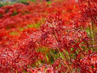 s-DSC07574_20111005005723.jpg