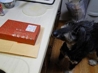 s-DSC07593.jpg