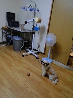 s-DSC07644_20111014164752.jpg