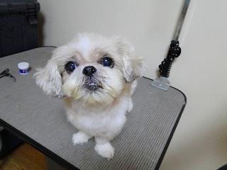 s-DSC07646_20111014164751.jpg