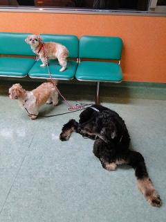 s-DSC07696_20111021172554.jpg