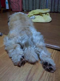 s-SBSH0013_20111014171541.jpg