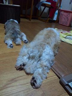s-SBSH0014_20111014171541.jpg