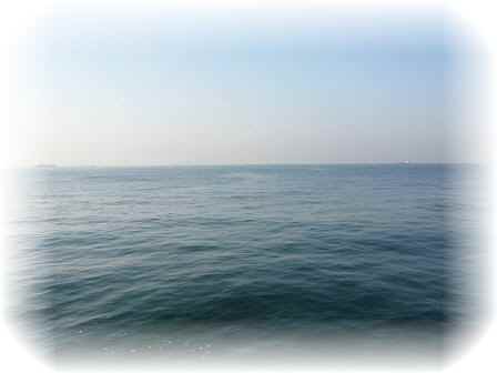 aP1060776.jpg
