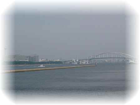 aP1060805.jpg