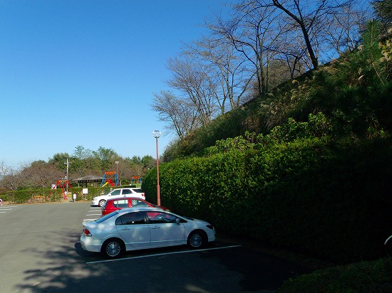 GEDC0311.jpg