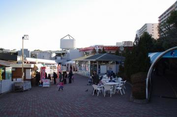IMGP0246.jpg