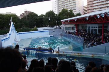 IMGP0401_20130131010334.jpg