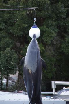 IMGP0442.jpg