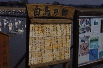 IMGP0822.jpg