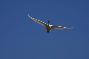 IMGP0897.jpg