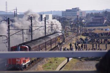 IMGP1097.jpg