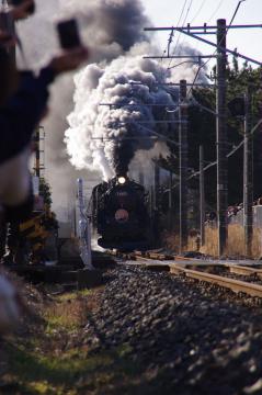 IMGP1152.jpg