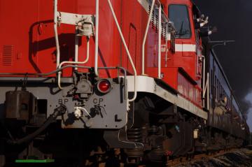 IMGP1212.jpg