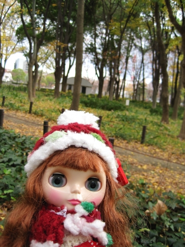 しらかわ公園