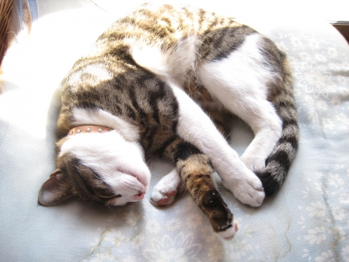よかったね
