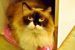 20131129x.jpg