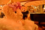20131130j.jpg