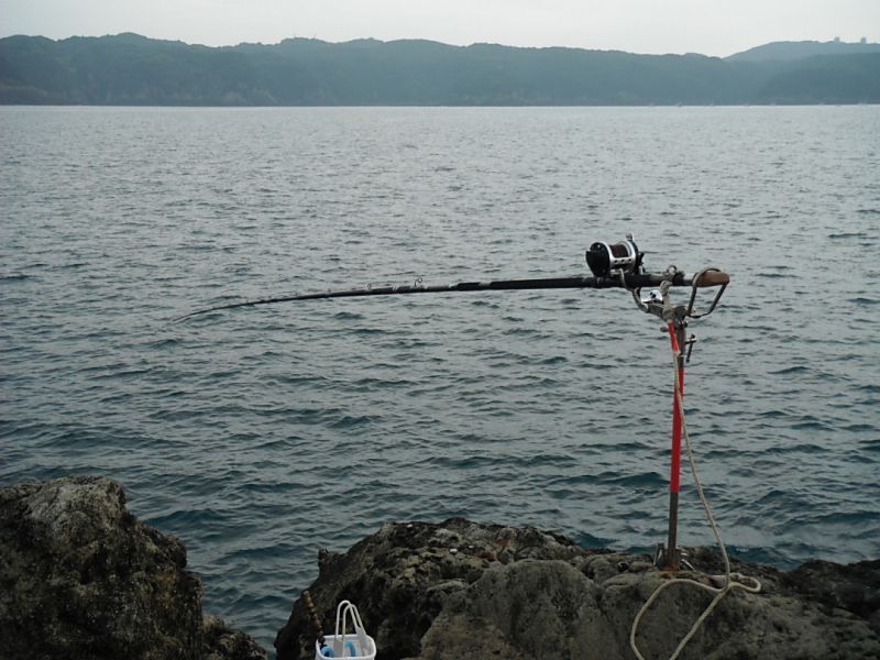 DSCF1649.jpg