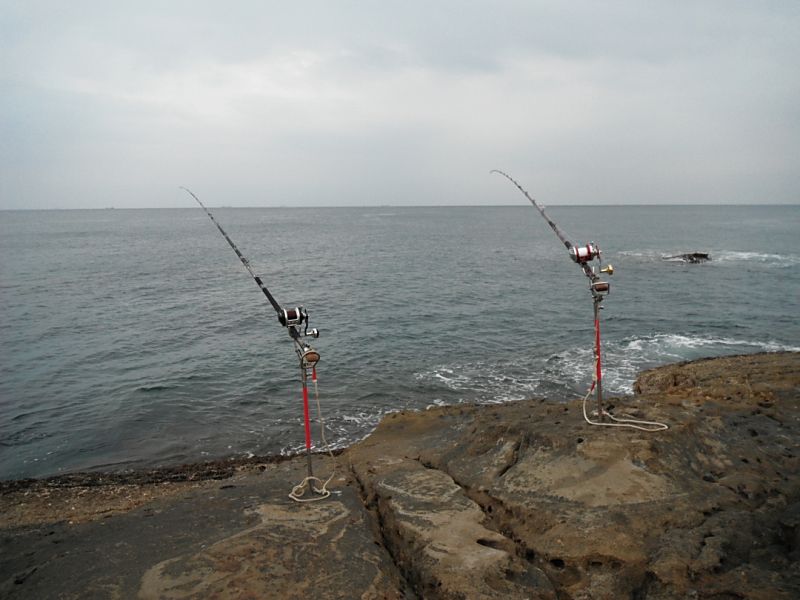 DSCF1651.jpg