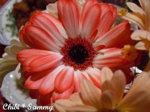 2013_4_19_From_DannaChan05.jpg