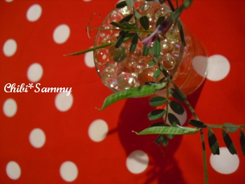 2013_4_26flower03.jpg