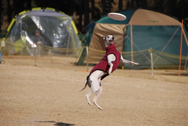 20140113-11.jpg