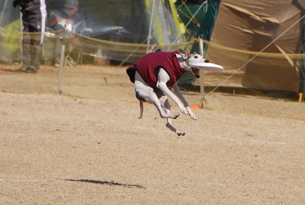 20140113-12.jpg