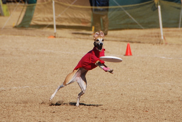 20140113-13.jpg