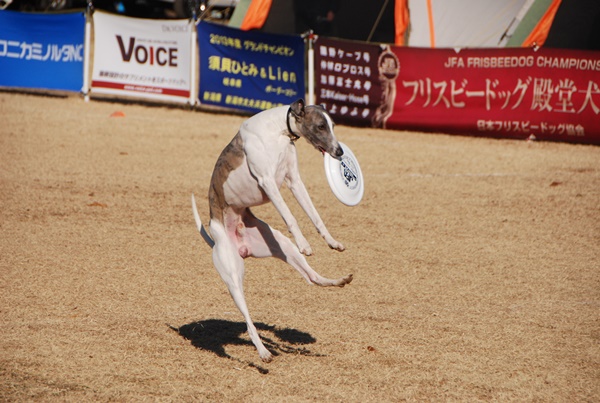 20140113-14.jpg