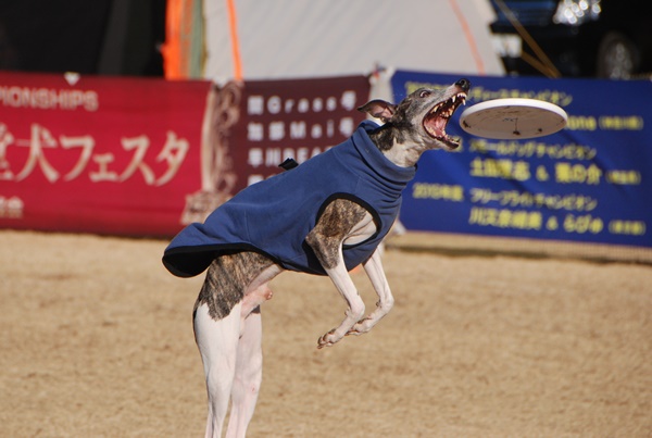 20140113-16.jpg