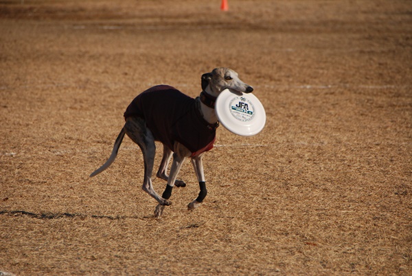 20140113-17.jpg