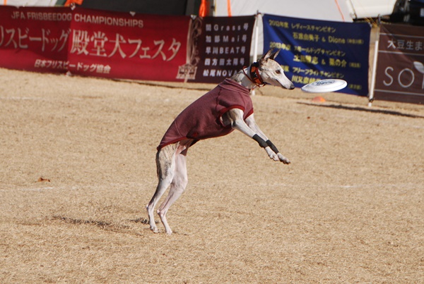 20140113-18.jpg