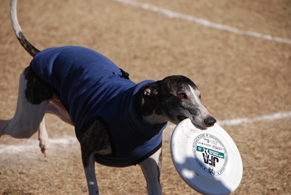 20140113-7.jpg