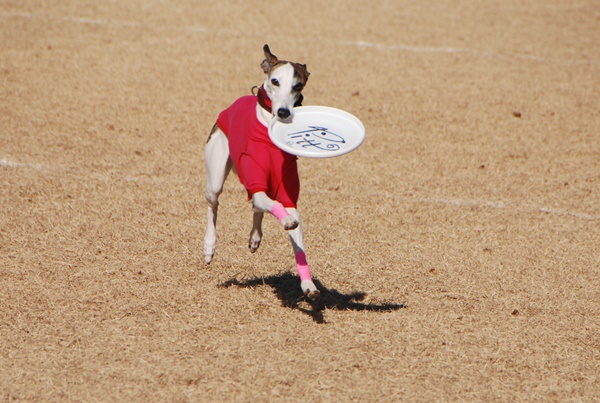 20140113-8.jpg