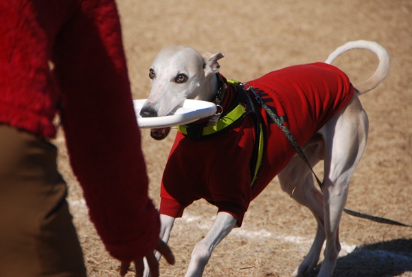 20140113-9.jpg