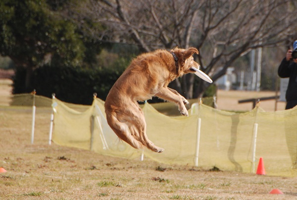 20140201-1.jpg