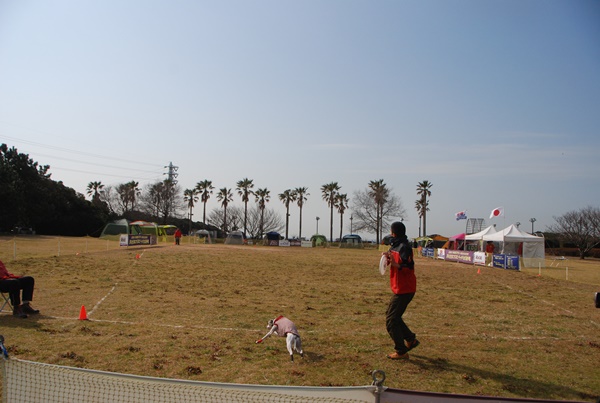 20140201-3.jpg